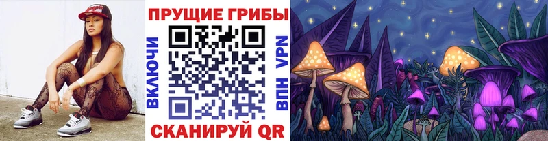 Купить где  Болгар  Галлюциногенные грибы Psilocybe 